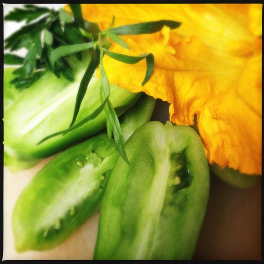 Green tomatoes, herbs & squash blossom