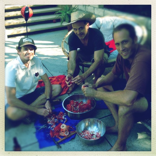 (l to r) Nat, I and Aaron get picking!