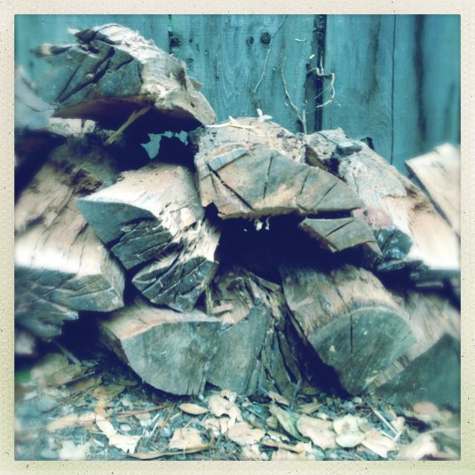 My nascent woodpile