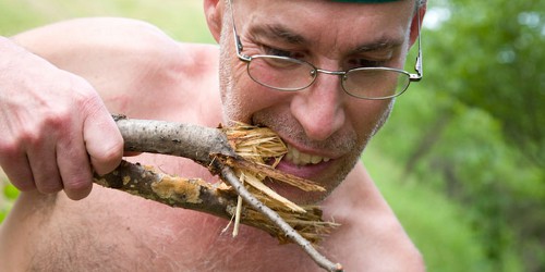 Hungry foraging guy, probably in Portland