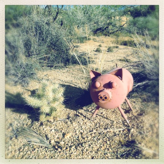 Camp Nylen cookout mascot with cholla cactus