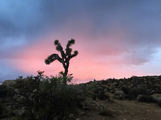 After the rain passed